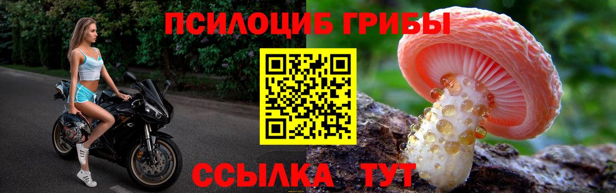 Псилоцибиновые грибы ЛСД Рубцовск